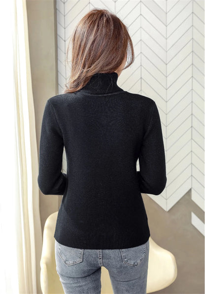 Turtleneck Winter Sweater Women Elegant