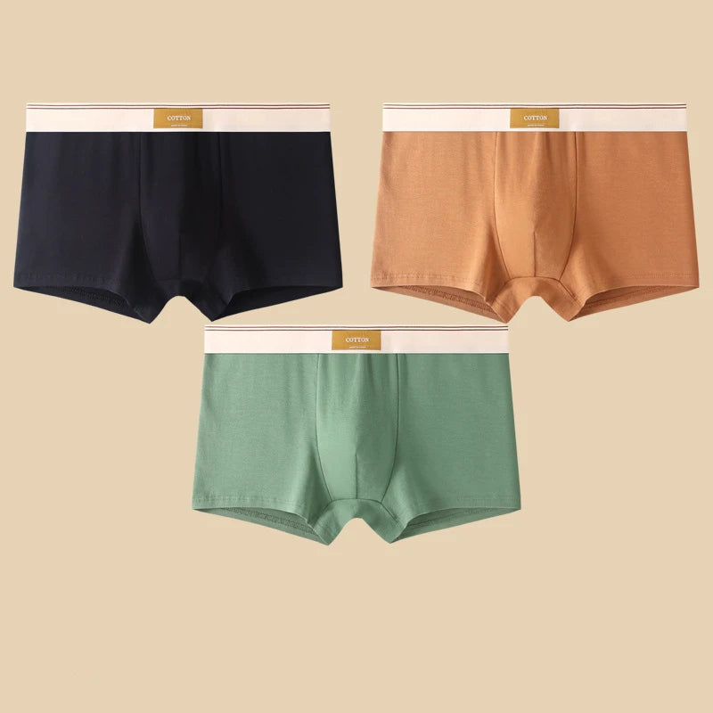 3Pcs Men's Underwear