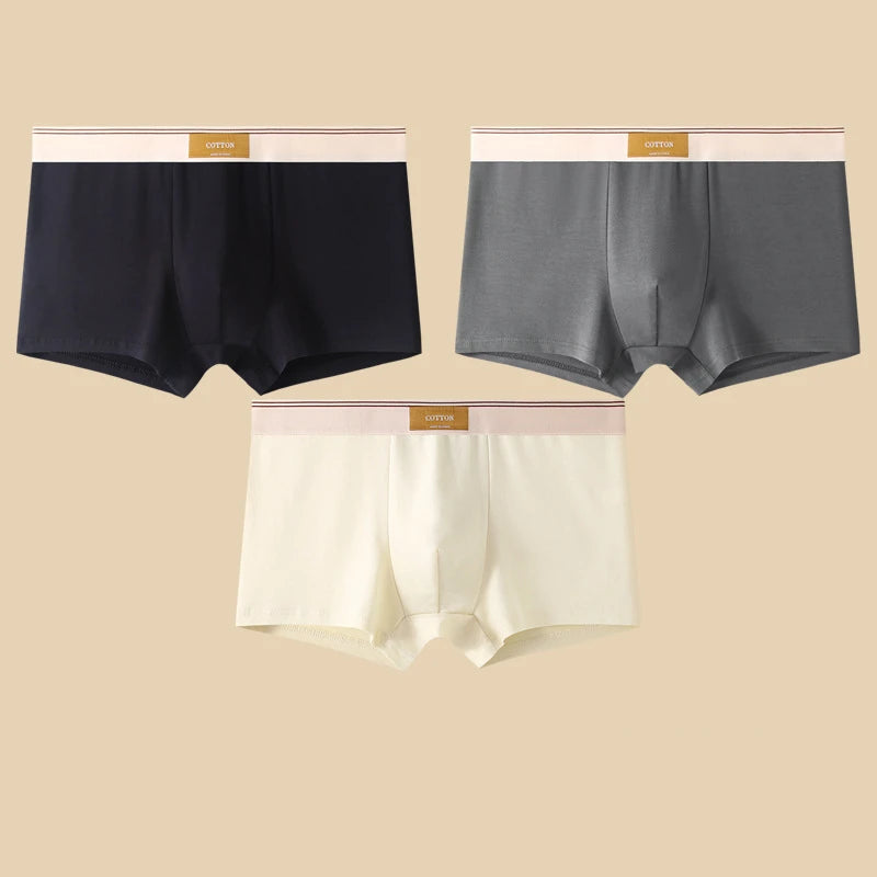 3Pcs Men's Underwear