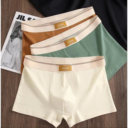 3Pcs Men's Underwear