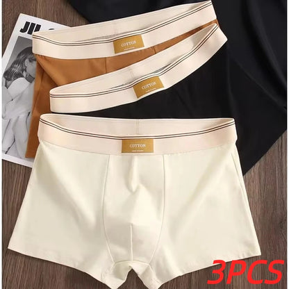 3Pcs Men's Underwear