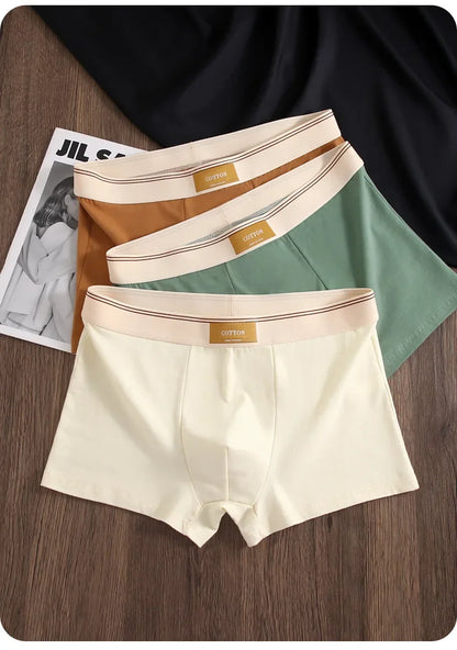 3Pcs Men's Underwear