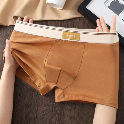 3Pcs Men's Underwear