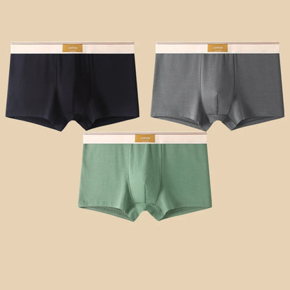 3Pcs Men's Underwear