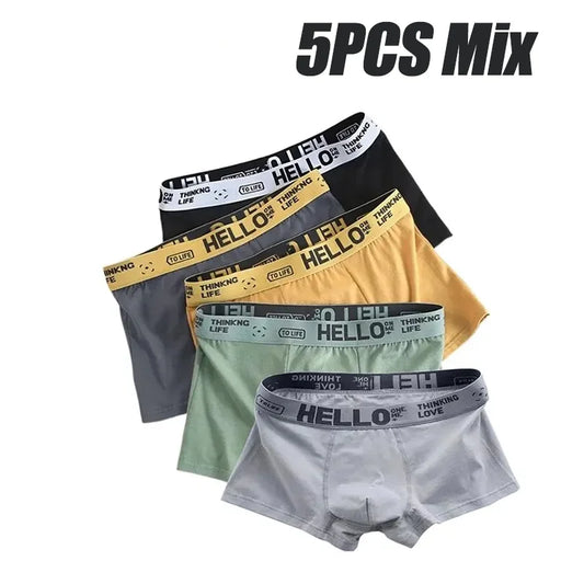 1/5pcs Mens Underwear Male Boxers