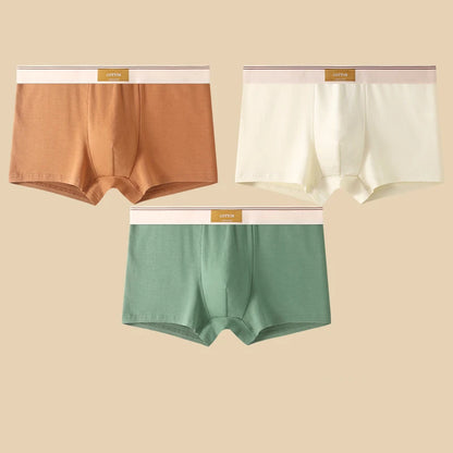 3Pcs Men's Underwear