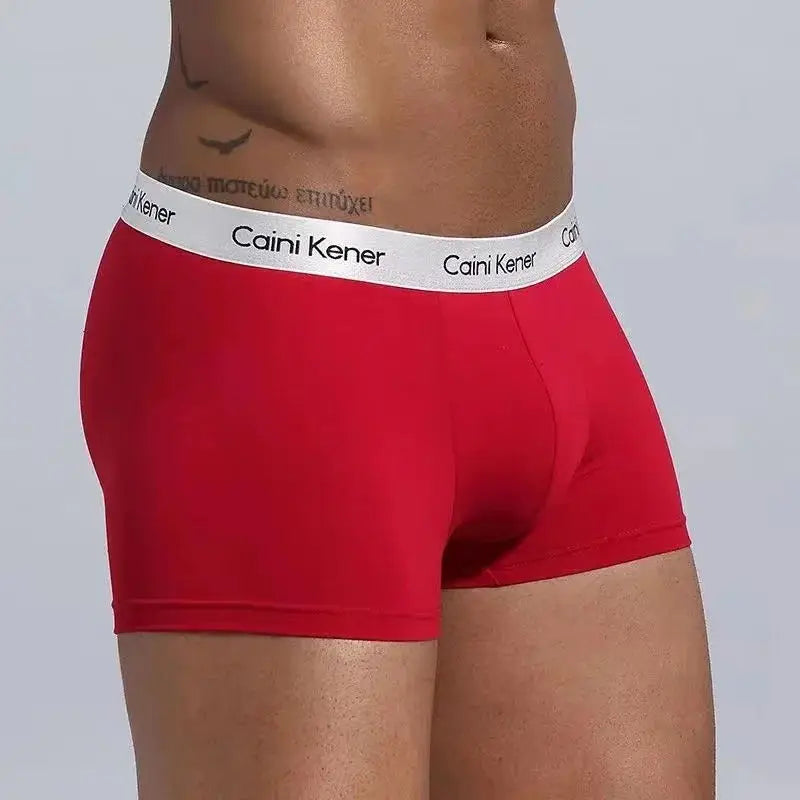 5Pcs/Men's Shorts Brand Underwear