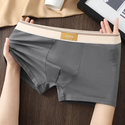 3Pcs Men's Underwear