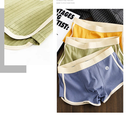 3PCS/Pack 100% Cotton Solid Striped Men's Boxer