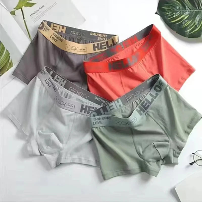 4Pcs Boxer Shorts Men's Underwear Sexy