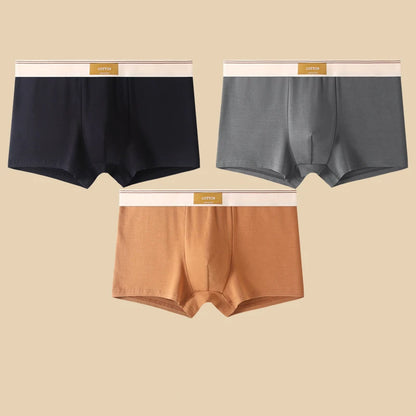 3Pcs Men's Underwear