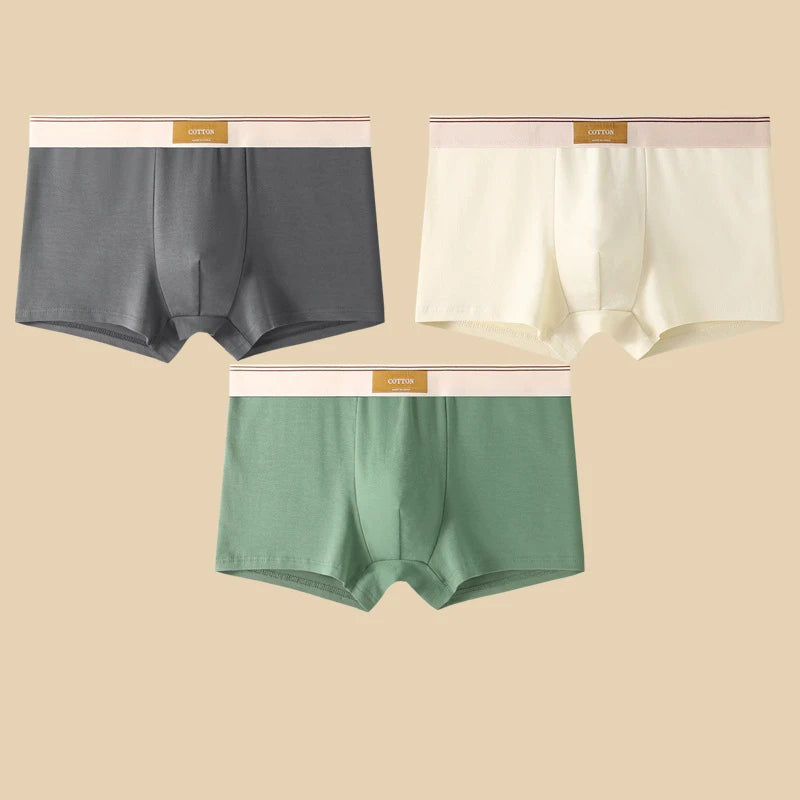 3Pcs Men's Underwear